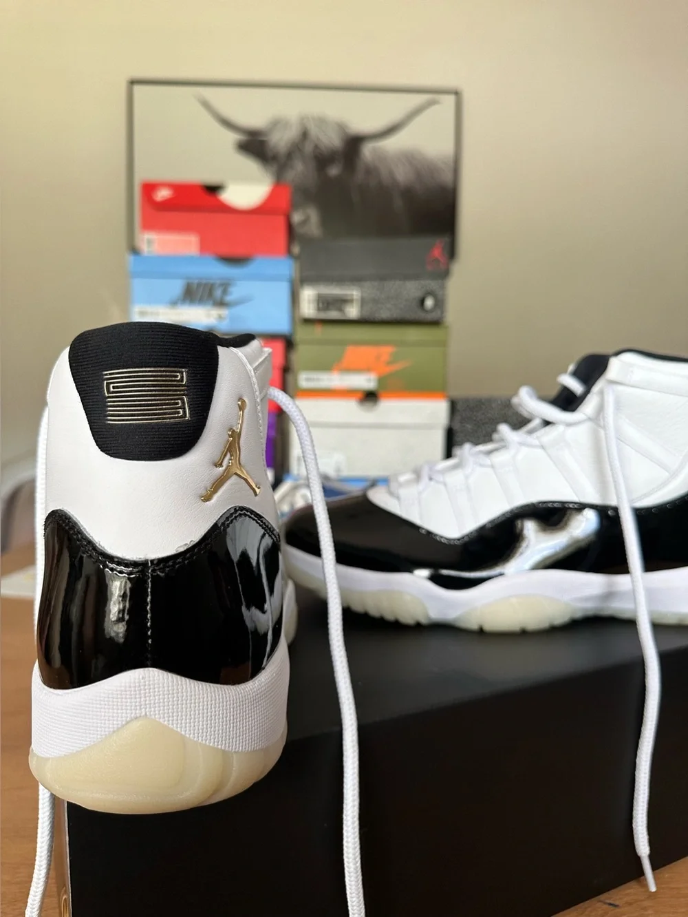 Jordan 11 Retro- DMP Gratitude (2023) (VNDS)